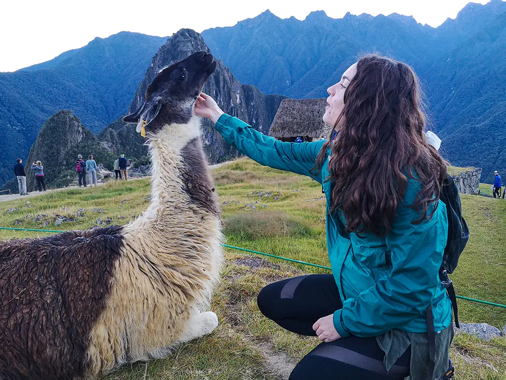 Llama en las 7 Maravillas