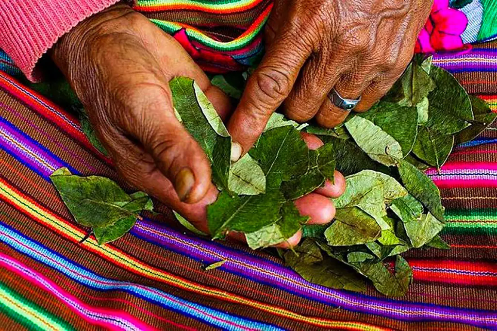 suerte con Hojas de Coca 