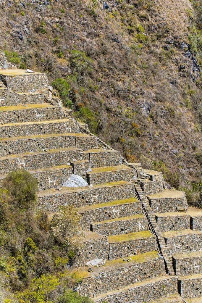 Choq'ekirao – misteriosa joia oculta do Império Inca Choq'ekirao -llamas-Cusco-cuna de oro-Life Expeditions
