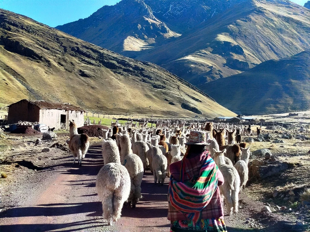 Paisaje -Life Expeditions