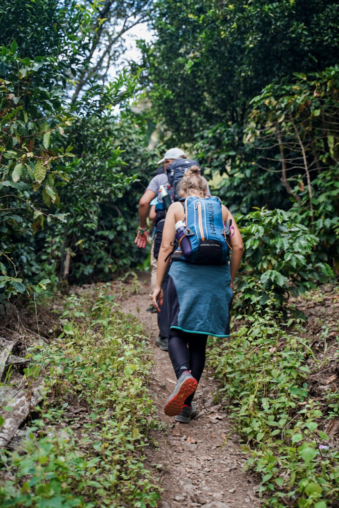 Trek Inka Jungle- Life Expeditions