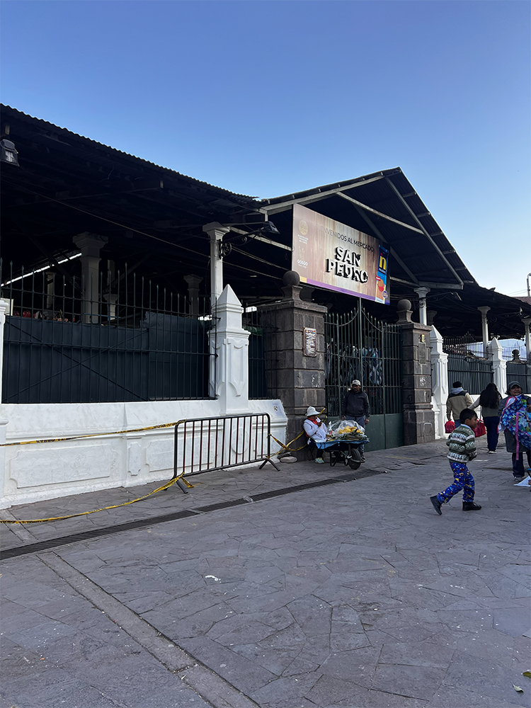 Mercado de San Pedro- Life Expeditions