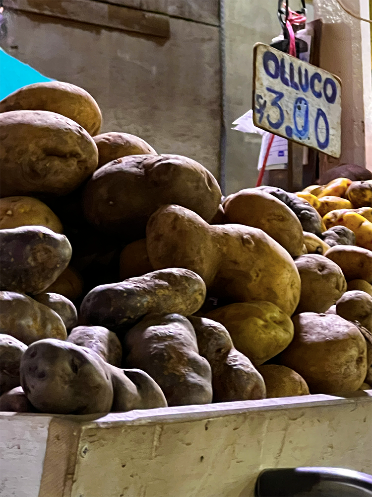 Papa Nativas -Life Expeditions