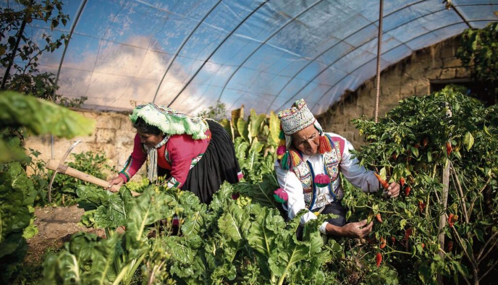 AUZANGATE - Impressive challenging trail for adventurers in Ocongate Auzangate-Ocongate-agricultura tradicional-Life Expeditions
