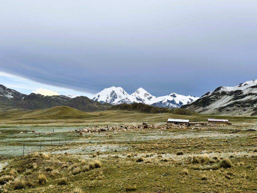 Pitumarca – 3 Impressive Natural Wonders (Red Valley, Vinicunca, and Quelccaya) Quelccaya-Canchis-Pitumarca-Life Expeditions