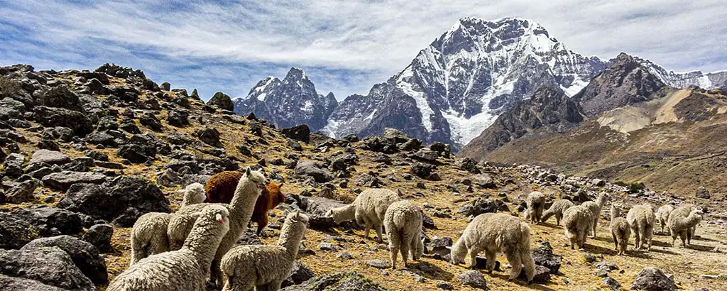 Weather in Cusco: Temporary Closure of Ausangate, Salk antay Trek and Quelccaya Aunsangate