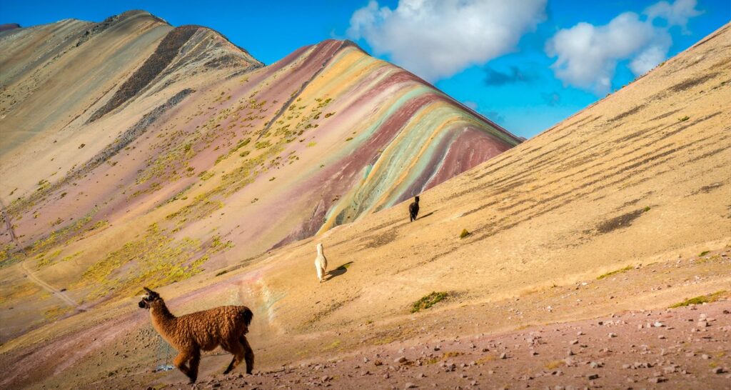 Pitumarca – 3 Impressive Natural Wonders (Red Valley, Vinicunca, and Quelccaya) Vinicunca-Vale Vermelho-Quelcaya-Life Expeditions