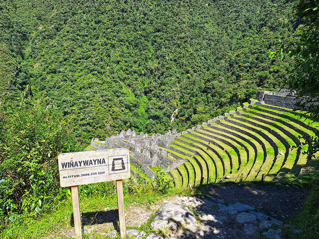 Camino Inca clásico a Machu Picchu Camino Inca clasico