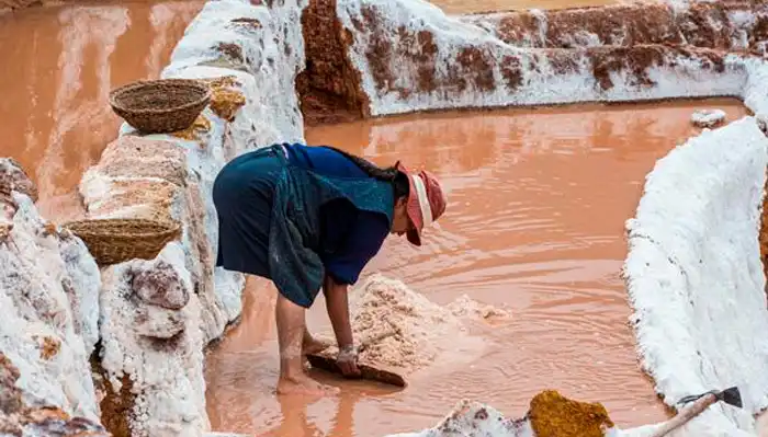 Proceso de la Sal de Maras-Life Expeditions